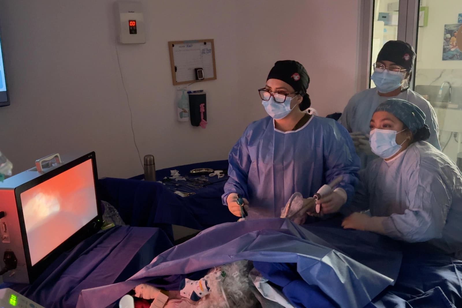 Equipo de Belvet durante una laparoscopia, siguiendo la cámara en el monitor