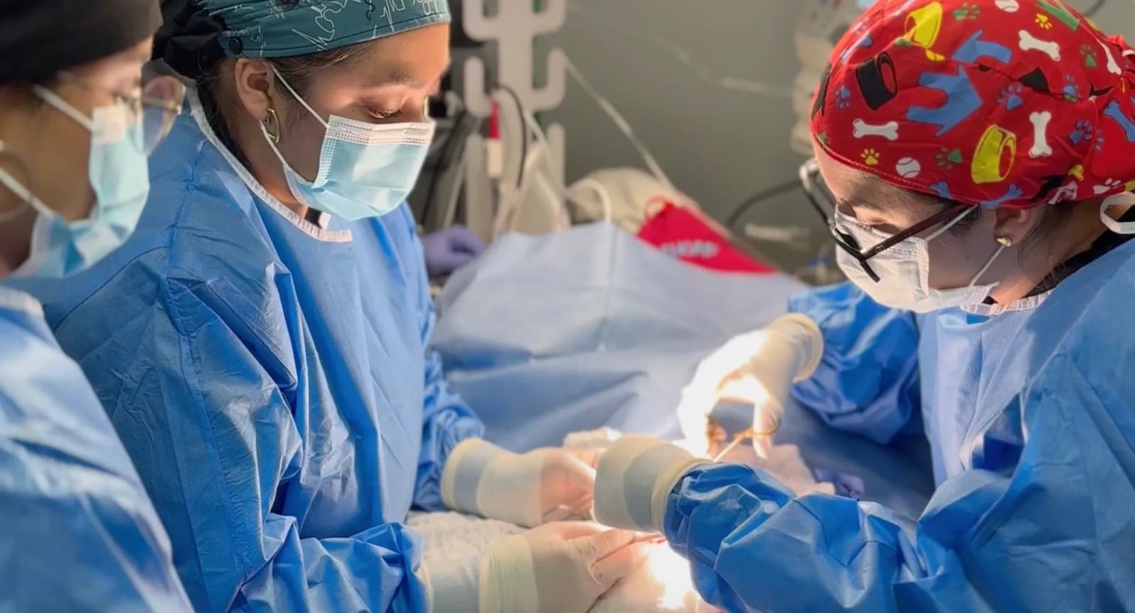 Equipo quirúrgico de Belvet operando a un paciente